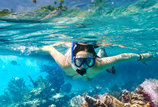 Oahu diving spots in Hawaii review