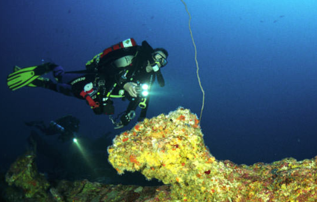 condor-reef-diving-spots