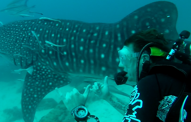 koh-rong-diving-spots