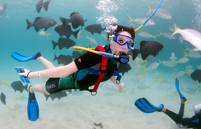 Riviera Maya and Costa Maya diving spots in Mexico review